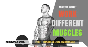 Sumo Deadlift: Unique Muscle Activation and Benefits Explained