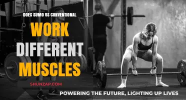Sumo vs Conventional Deadlift: Muscle Activation Differences Explained