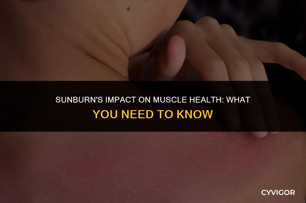 does sunburn affect muscles