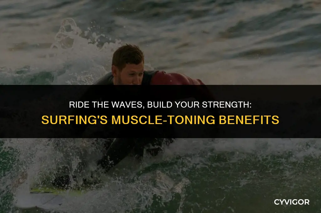 does surfing build muscle