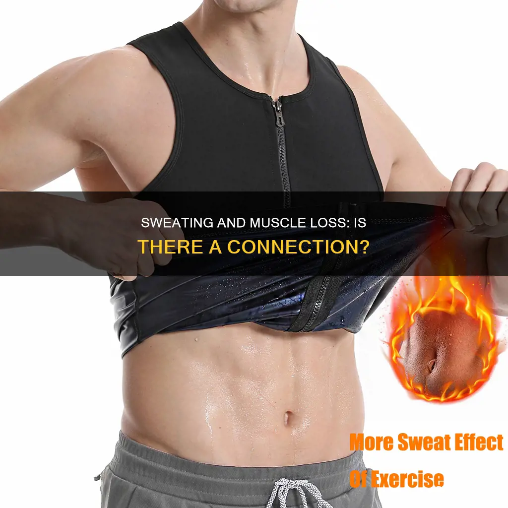 does sweating cause muscle loss