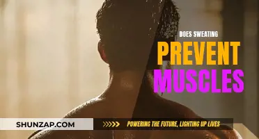 Sweating and Muscles: Does Hydration Impact Muscle Gain?