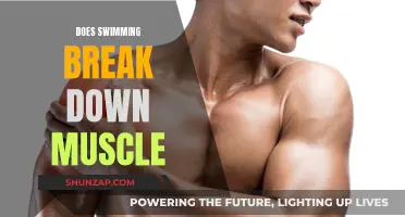 Swimming and Muscle Breakdown: What's the Real Deal?