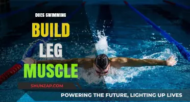 Dive into Strength: How Swimming Sculpts Your Leg Muscles