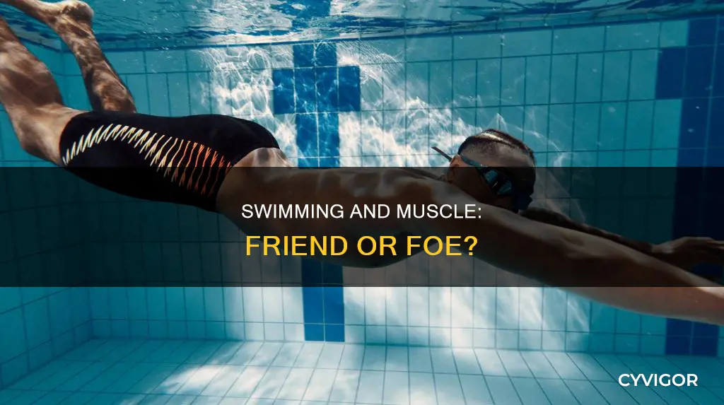 does swimming burn muscle