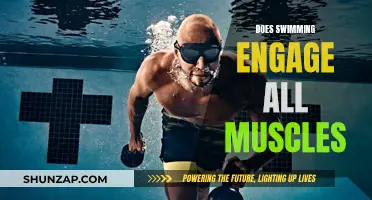 Swimming: Full-Body Workout or Just Cardio?