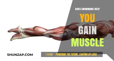 Swimming for Muscle Gain: Effective Workout or Just Cardio?