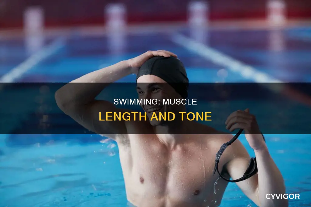 does swimming lengthen muscles
