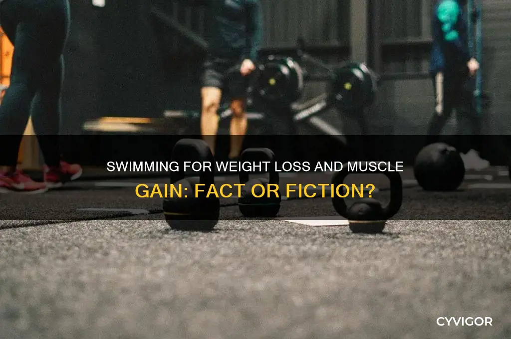 does swimming make you lose weight or gain muscle