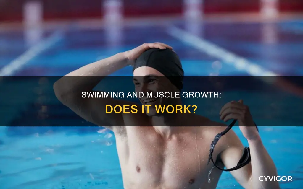 does swimming promote muscle grwth