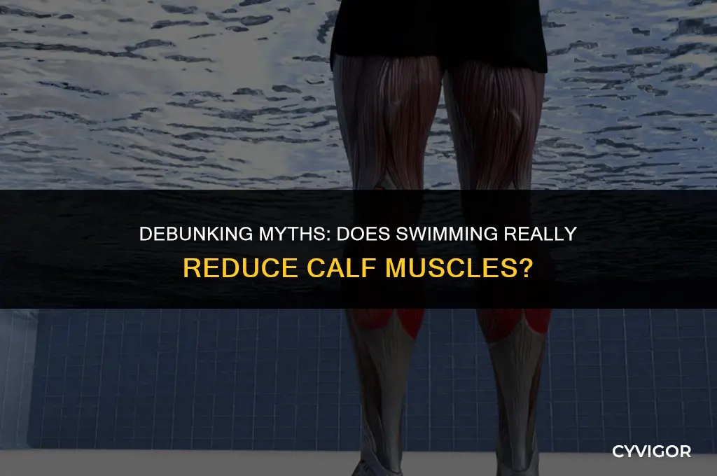 does swimming reduce calf muscles