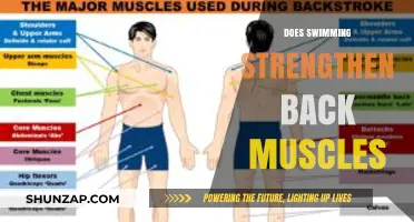 Boost Your Back Strength: The Power of Swimming Unveiled
