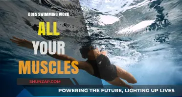 Swimming: The Ultimate Full-Body Workout for Every Muscle Group