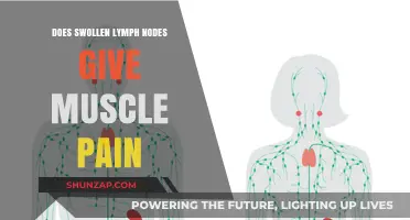 Swollen Lymph Nodes and Muscle Pain: Understanding the Connection