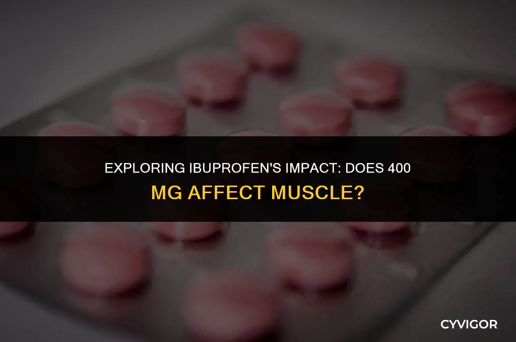 does taking 400 mg of ibuprofen affect muscle