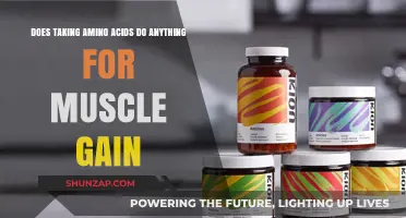 Amino Acids and Muscle Gain: Fact or Fiction?