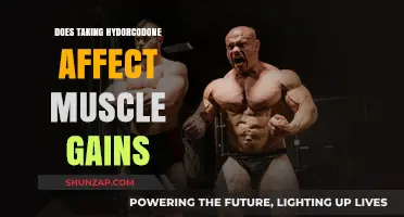 Hydrocodone and Muscle Gains: Impact on Strength and Recovery Explained