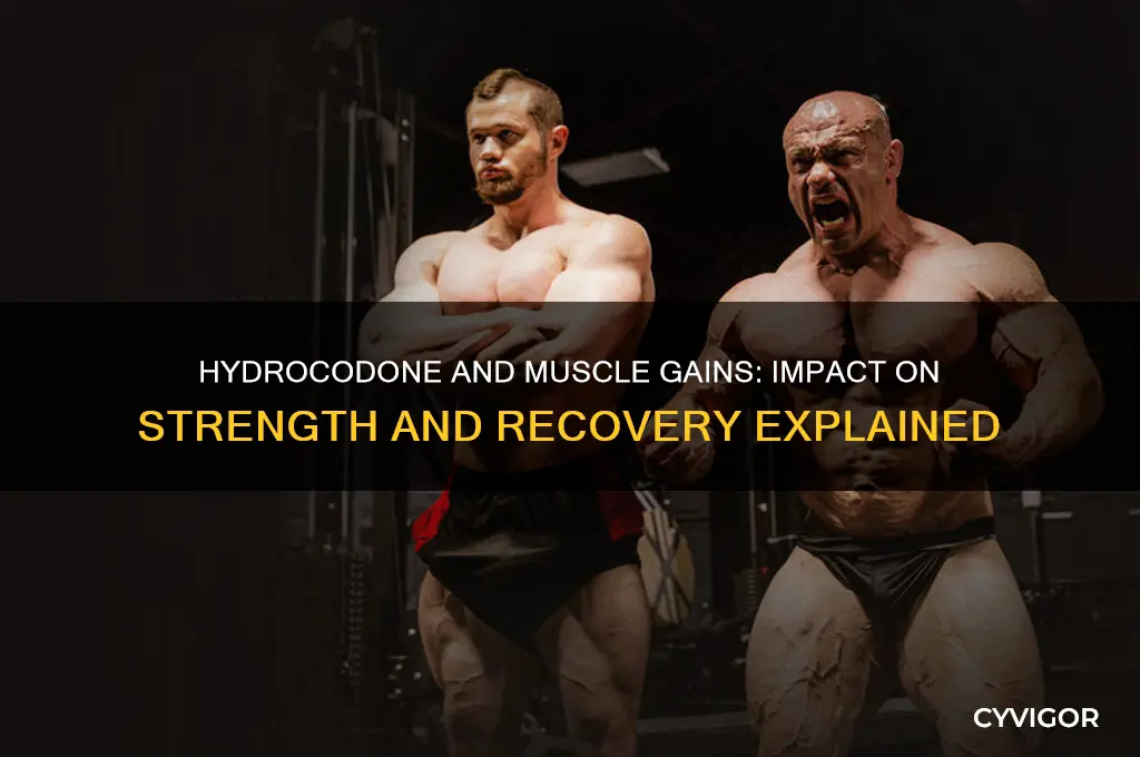 does taking hydorcodone affect muscle gains