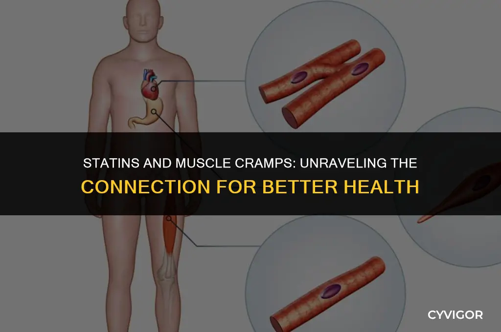 does taking statins increase muscle cramps