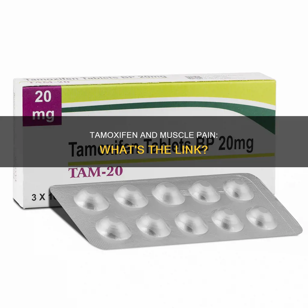does taking tamoxifen cause muscle pain