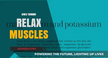 Taurine's Muscle Relaxation Benefits: Fact or Fiction? Unveiling the Truth
