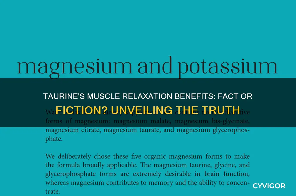 does taurine relax muscles