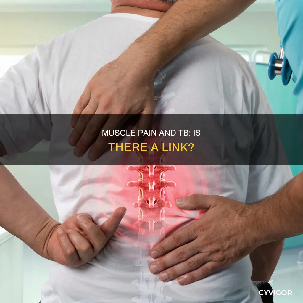 does tb cause muscle pain