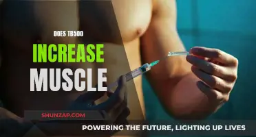 TB500's Impact on Muscle Growth: What You Need to Know