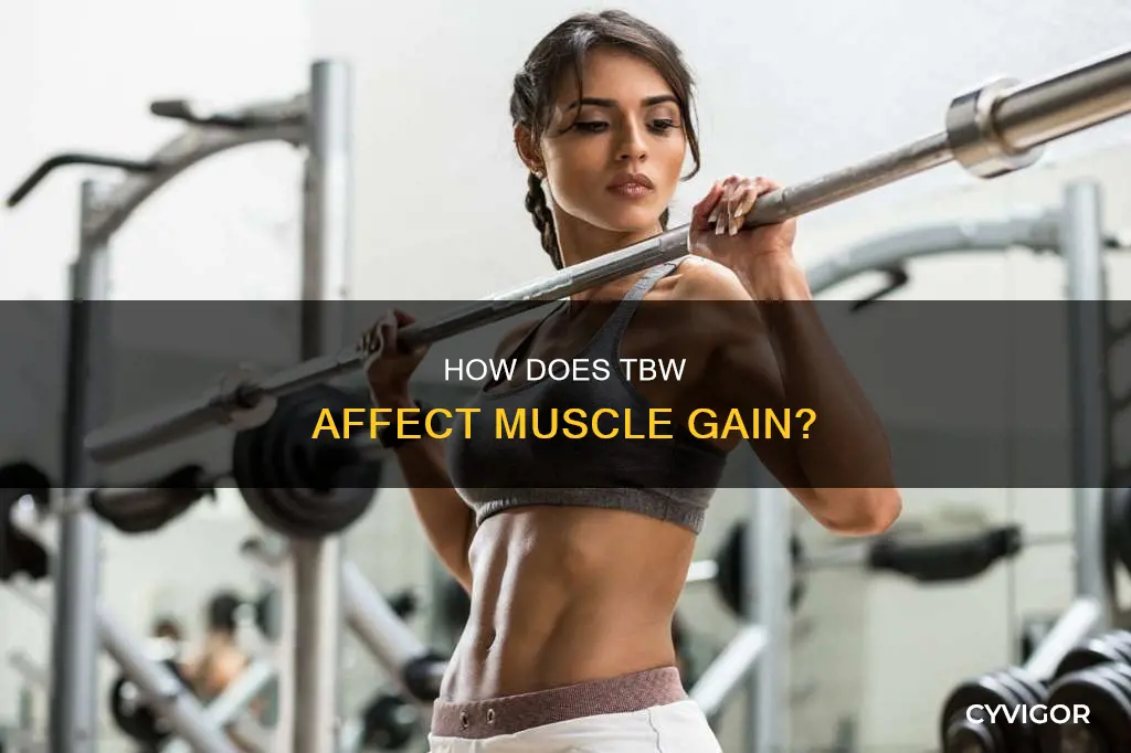 does tbw mean more muscle