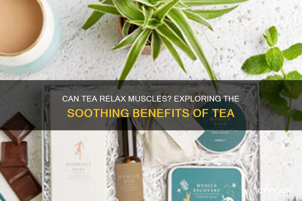 Can Tea Relax Muscles? Exploring The Soothing Benefits Of Tea | CyVigor