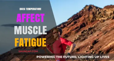 Exploring the Impact of Temperature on Muscle Fatigue: A Comprehensive Guide