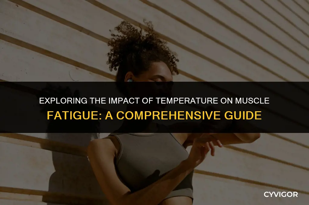 does temperature affect muscle fatigue
