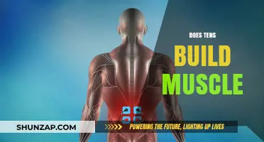 Unleashing Strength: The Truth About TENS and Muscle Building