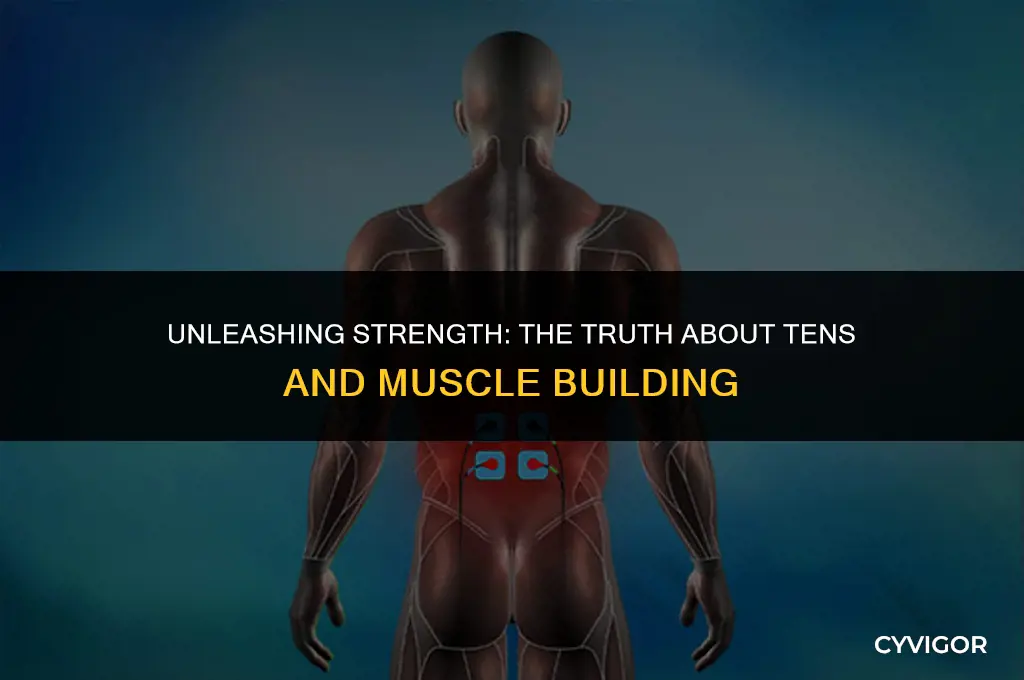 does tens build muscle