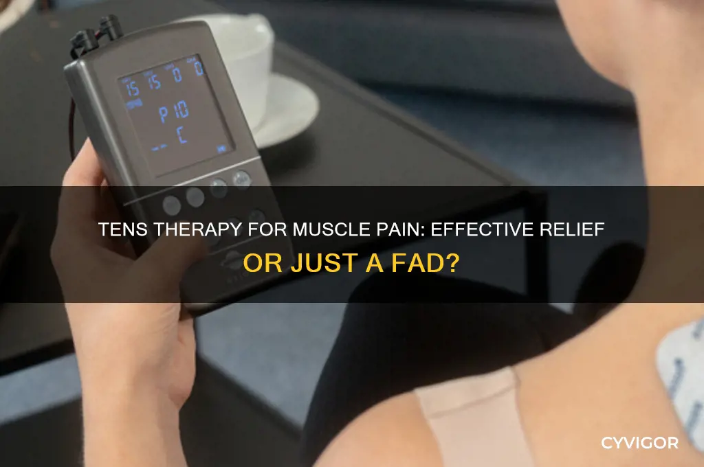 does tens therapy work for muscle pain