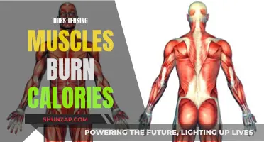 Tensing Muscles: Burning Calories or Useless Myth?