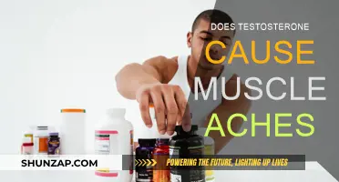 Testosterone Therapy: Muscle Aches and Pains