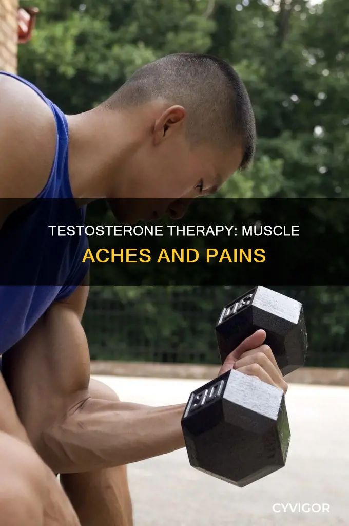 does testosterone cause muscle aches