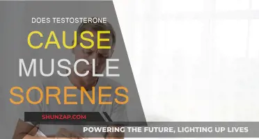 Testosterone Therapy: Sore Muscles, What's the Link?