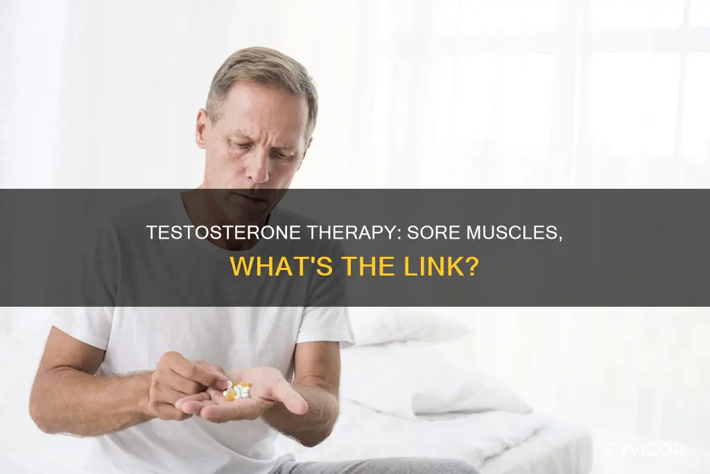 does testosterone cause muscle soreness