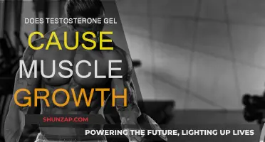 Testosterone Gel: Muscle Growth or Myth?