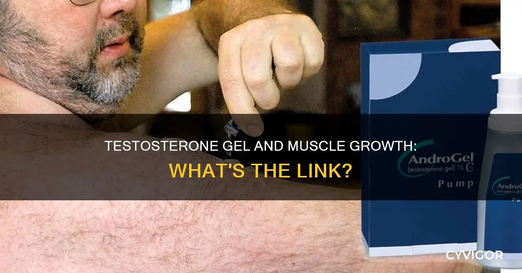 does testosterone gel increase muscle