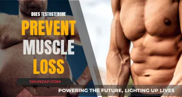 Testosterone's Role in Preventing Muscle Loss: What You Need Know