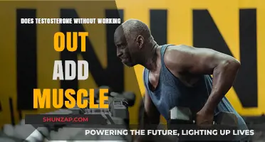 Can Testosterone Alone Build Muscle Without Exercise? The Truth Revealed