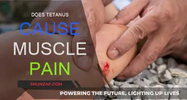 Tetanus and Muscle Pain: Understanding the Connection