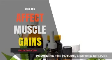 THC and Muscle Growth: Does Cannabis Impact Your Fitness Gains?