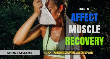 Exploring THC's Impact on Muscle Recovery: A Comprehensive Guide