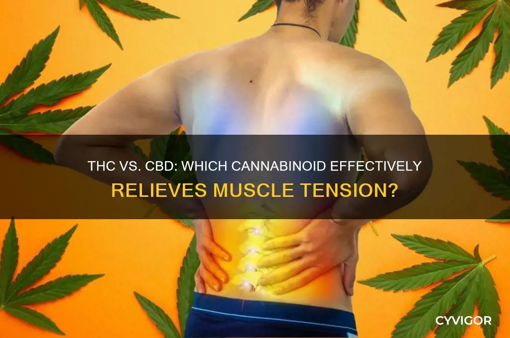does thc or cbd relax muscles