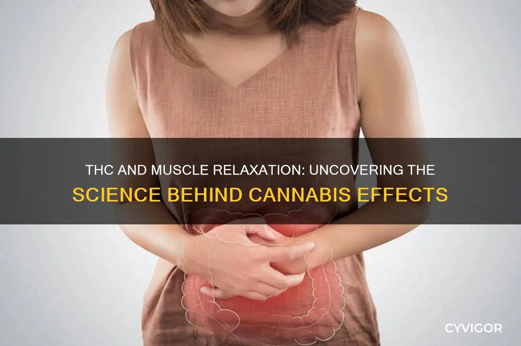 does thc relax muscles