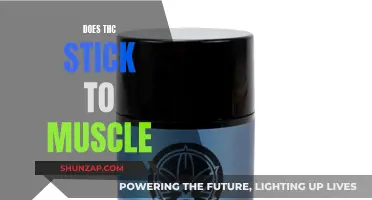 THC and Muscle Memory: What's the Link?